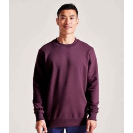 Anthem Organic Sweatshirt