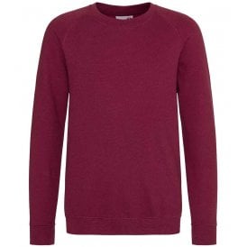 AWDis Academy Kids Raglan Sweatshirt