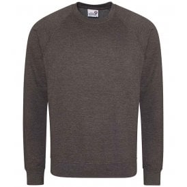 AWDis Academy Senior Raglan Sweatshirt