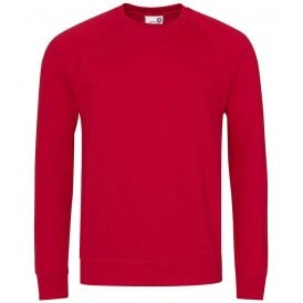 AWDis Academy Senior Raglan Sweatshirt