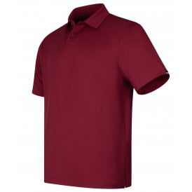 UA T2G polo LB